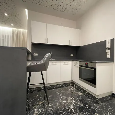 Lejlighed Exklusive Linz